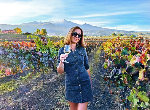 dc9a13 d7a46be474b2438bb5c115478d83474f~mv2