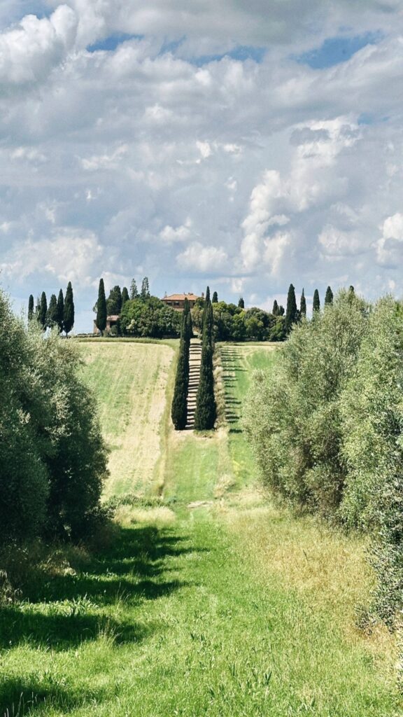 processed with vsco with a6 preset